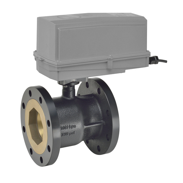 B6400S-186+GKRX24-MFT N4 | Characterized Control Valves | Valves